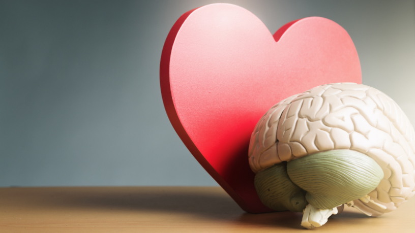 Características sutis podem indicar altas habilidades sem que ninguém note, explica Alexandre Costa Pedrosa.