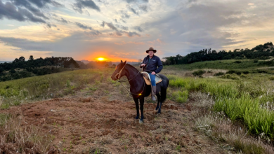 Cavalos como hobby: descubra os benefícios para o corpo e a mente e os cuidados básicos, com a visão de Altevir Seidel.