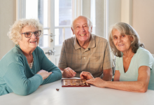 Sindnapi - Sindicato Nacional dos Aposentados, Pensionistas e Idosos