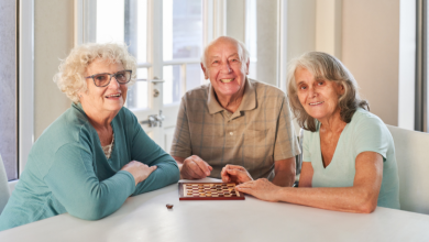 Sindnapi - Sindicato Nacional dos Aposentados, Pensionistas e Idosos