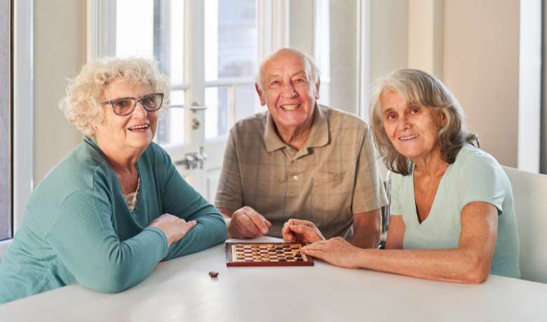 Sindnapi - Sindicato Nacional dos Aposentados, Pensionistas e Idosos