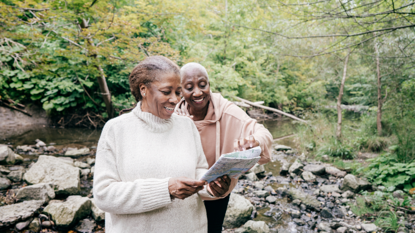 Sindnapi - Sindicato Nacional dos Aposentados, Pensionistas e Idosos