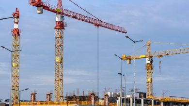Vários guindastes trabalham em um grande canteiro de obras, sob um céu azul.