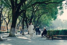 Pessoas caminham e se sentam em bancos sob árvores frondosas em um parque urbano ensolarado.