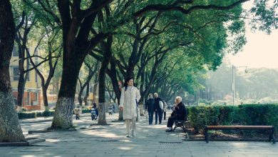 Pessoas caminham e se sentam em bancos sob árvores frondosas em um parque urbano ensolarado.